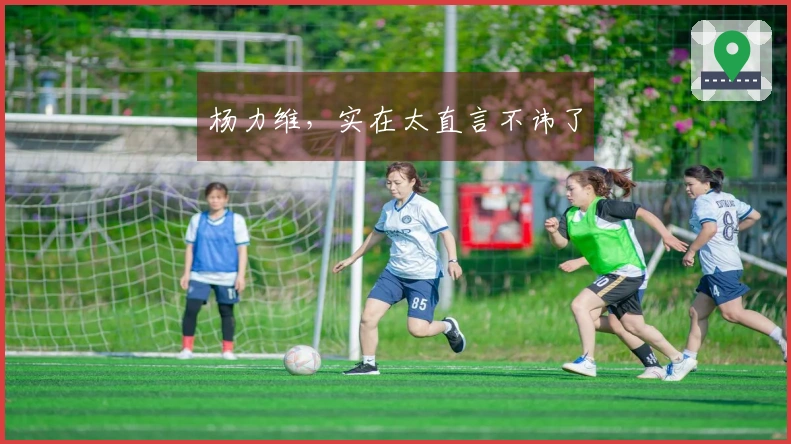 杨力维，实在太直言不讳了