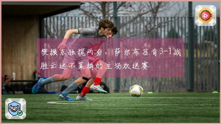 樊振东独揽两分，萨尔布吕肯3-1战胜云达不莱梅的主场欢送赛