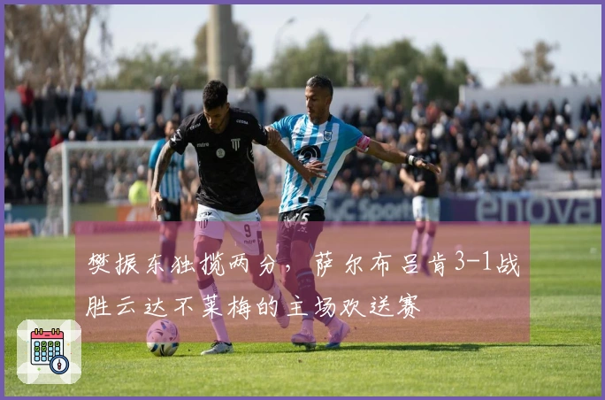 樊振东独揽两分，萨尔布吕肯3-1战胜云达不莱梅的主场欢送赛